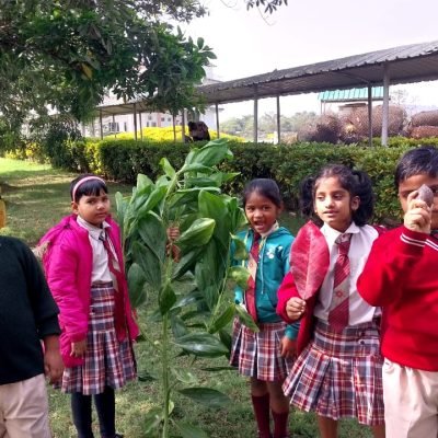 WhatsApp Image 2025-01-07 at 4.06.55 PM